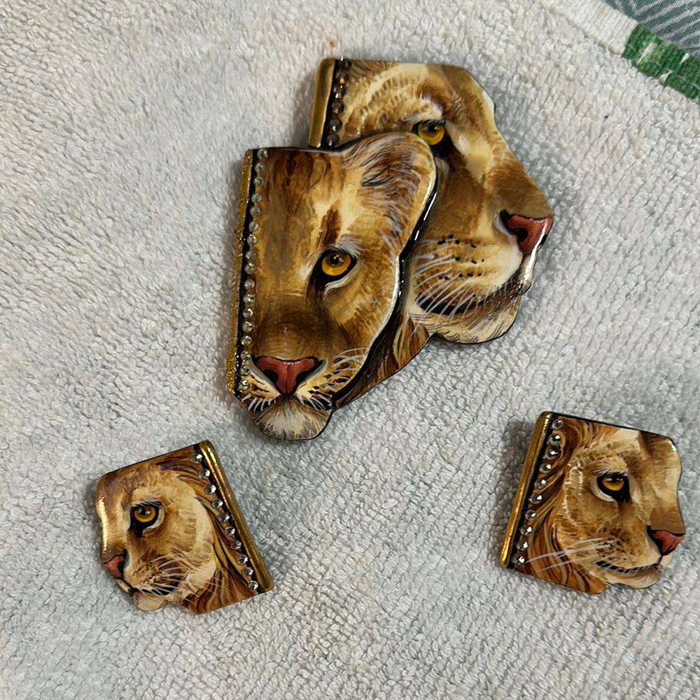 Elegant Brooch Pin and earrings